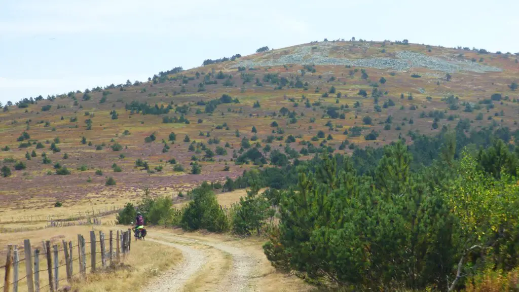 Sur les pentes du Mont Lozère