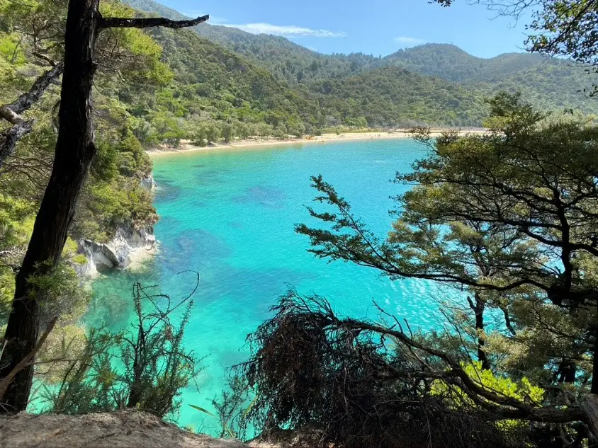 Une couleur de l’eau à couper le souffle au Parc national Abel Tasman