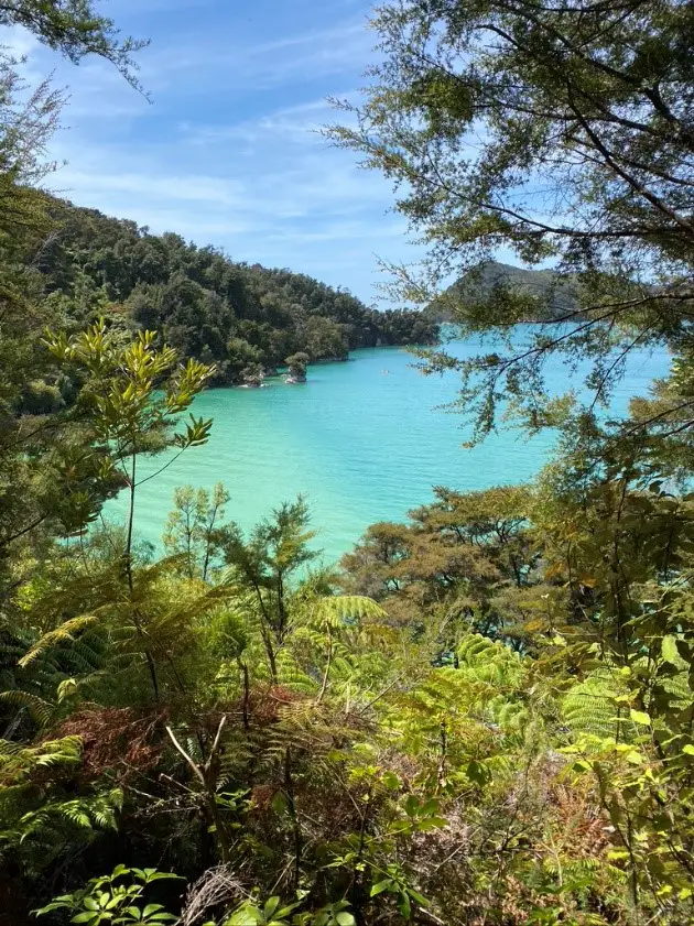 Une couleur de l’eau du parc national de Nouvelle-Zélande à couper le souffle