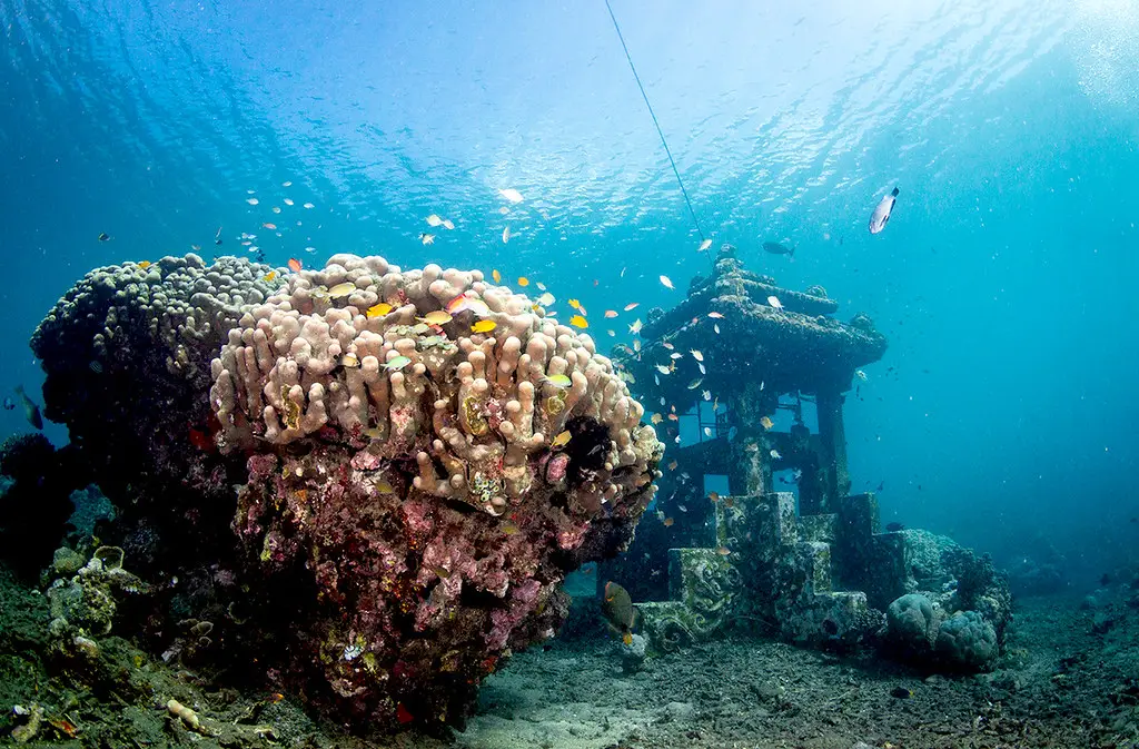 Petit sanctuaire Amed, activité snorkeling Bali en Indonésie