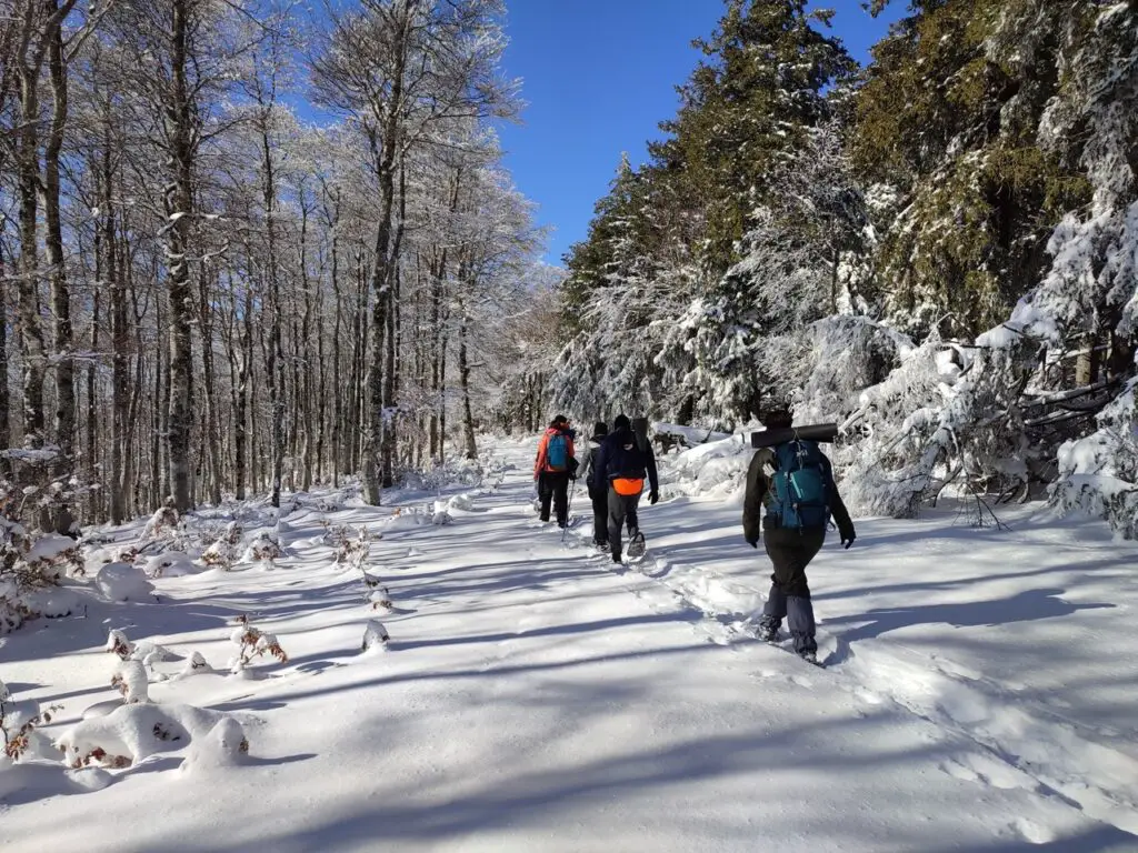 balade en raquettes à neige sur les sentiers du mont-aigoual