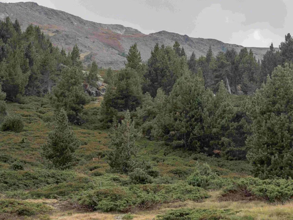 Paysage montagne randonnée pêche à la mouche Pyrénées