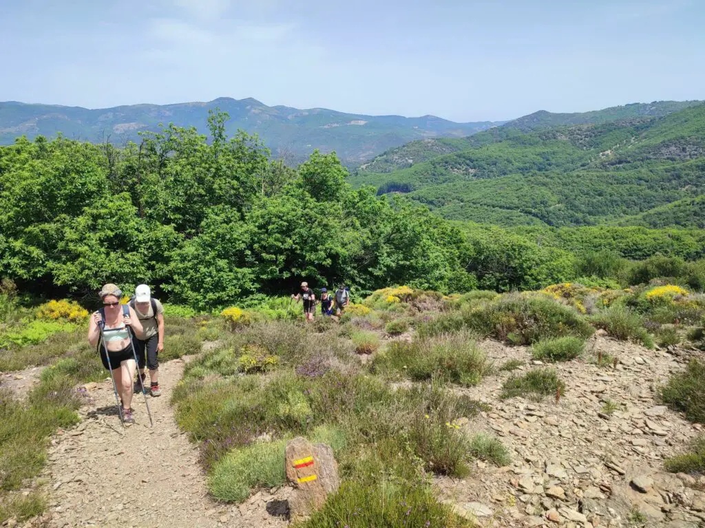 dernière montée vers le col de la pierre planté dans le caroux