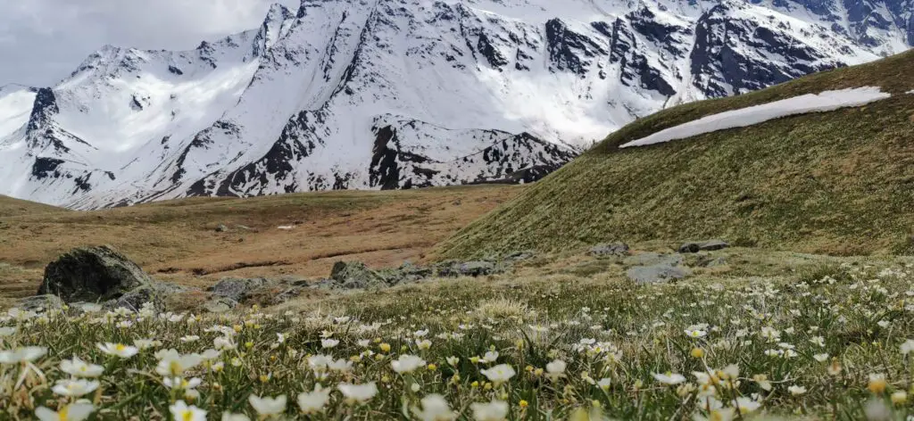 montée au col de Longet