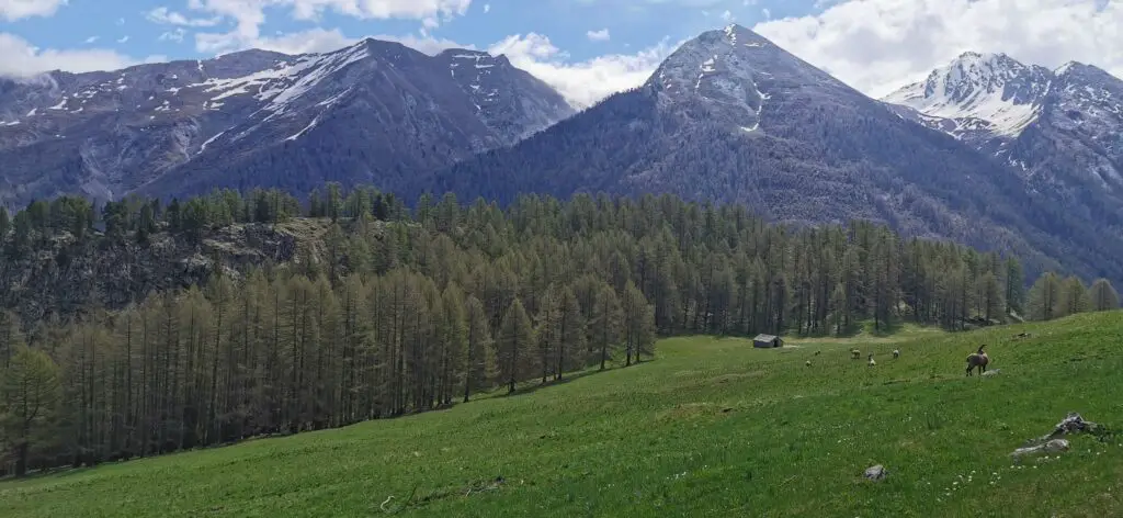 chalet de la médille