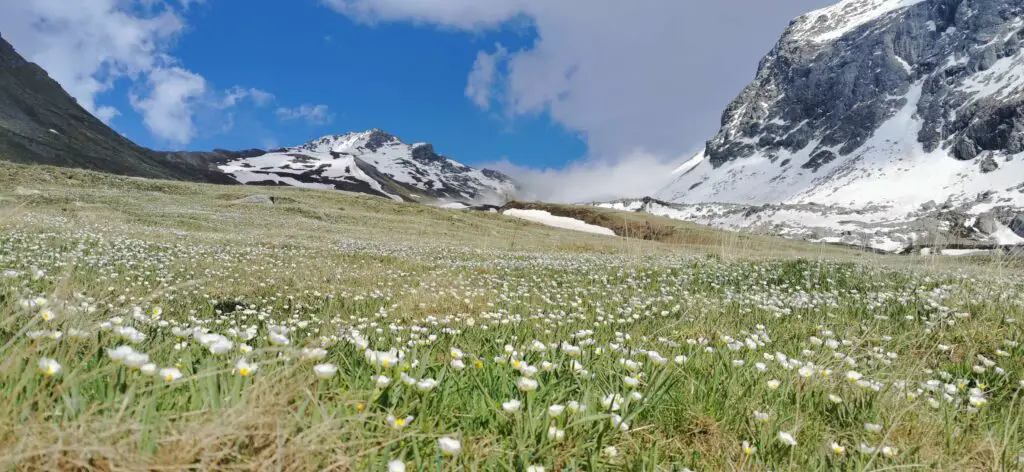 col d'Urine