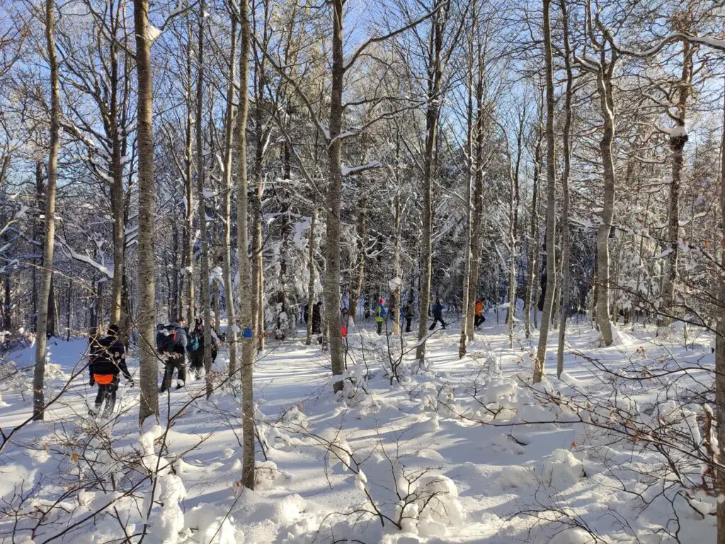 journée orientation en raquette à neige au Mont aigoual