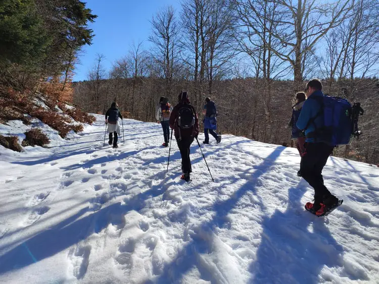 marche afghane en raquettes à neige dans les cévennes