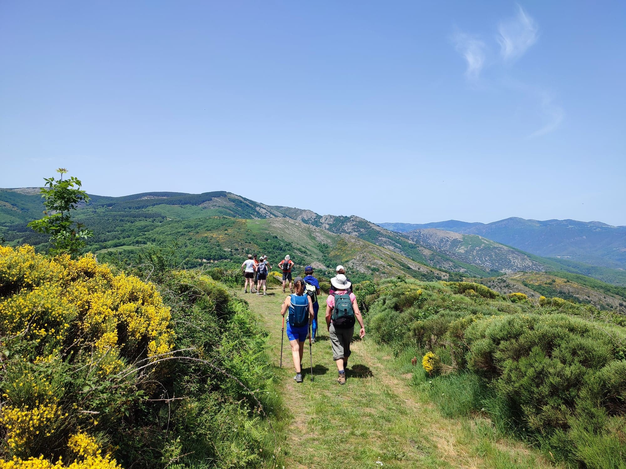 marche dans la montagnes du Caroux