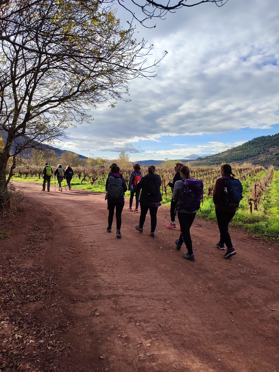 marche dans les vignes du salagou