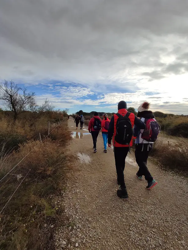 marche en conscience à l'étang du Ponant près de Montpellier