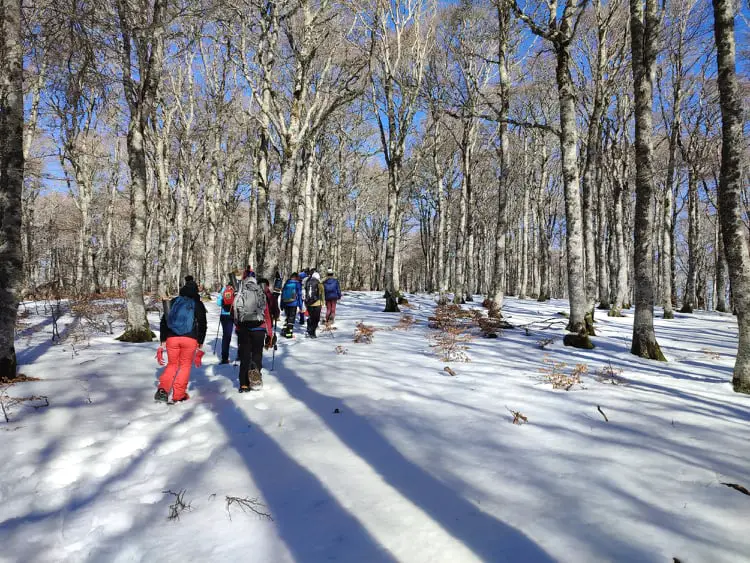 marche sur la neige avec des raquettes dans les Cévennes