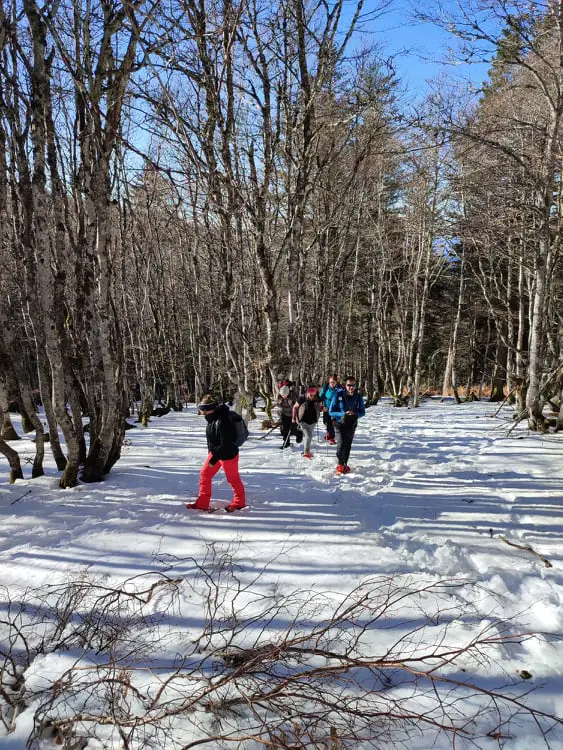 marche sur sentier de randonnée dans les cévennes l'hiver