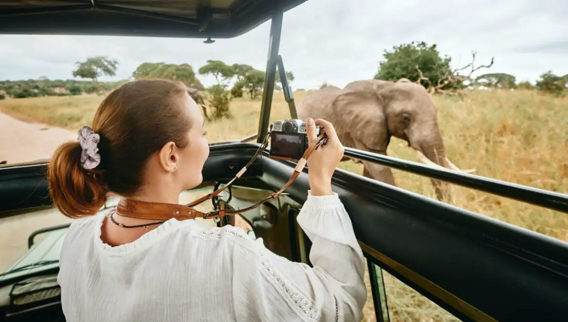 Safari photo dans les parcs nationaux du Kenya