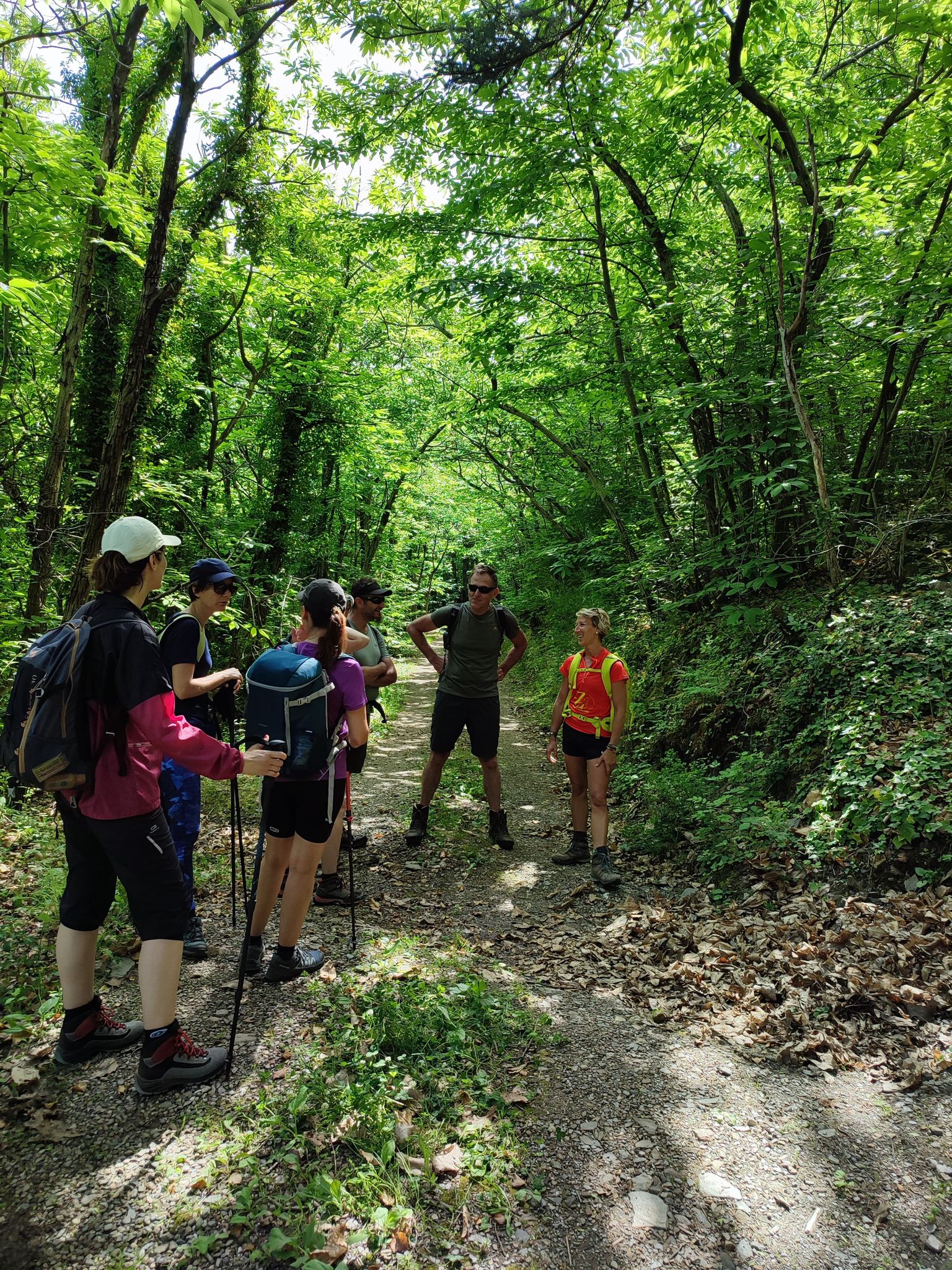 rando en foret vers saint germain sur mare dans le caroux