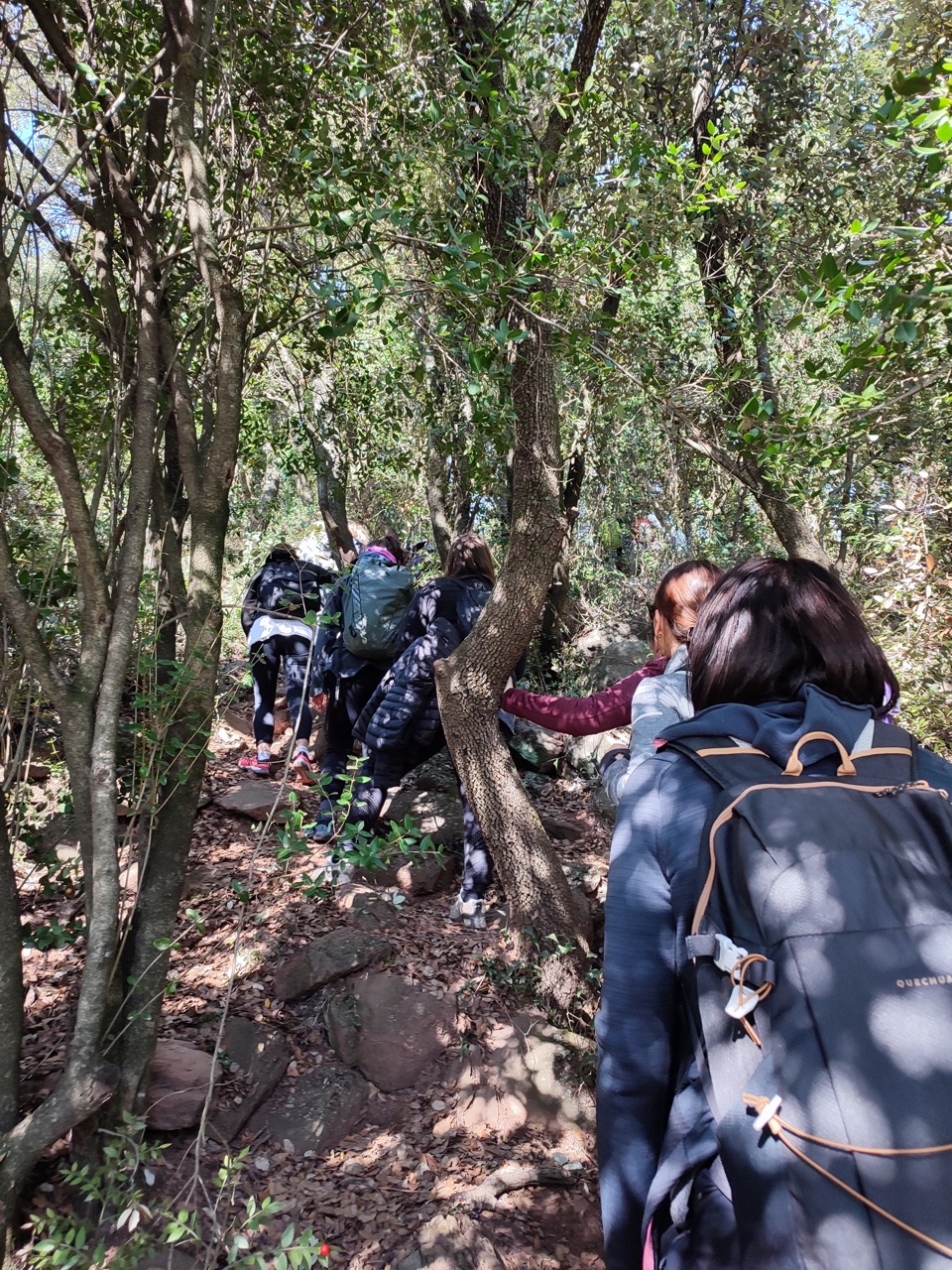 rando entre les arbres au salagou