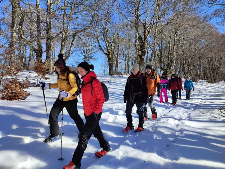 rando sur les sentiers des cévennes en raquette à neige