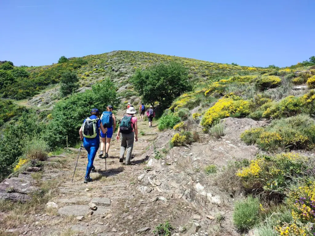 randonnée dans le parc naturel régional du Haut languedoc appelé le Caroux