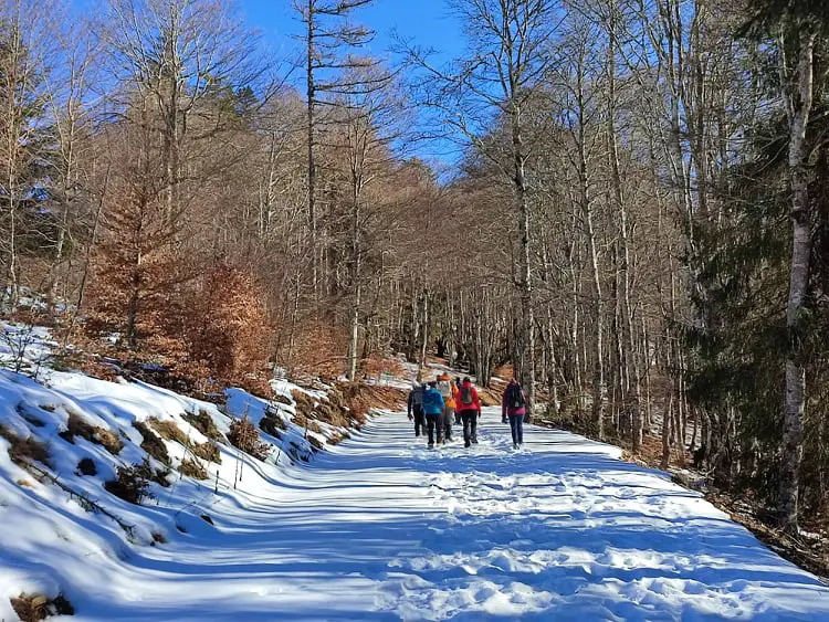 randonnée sur les sentiers des cévennes en raquette à neige