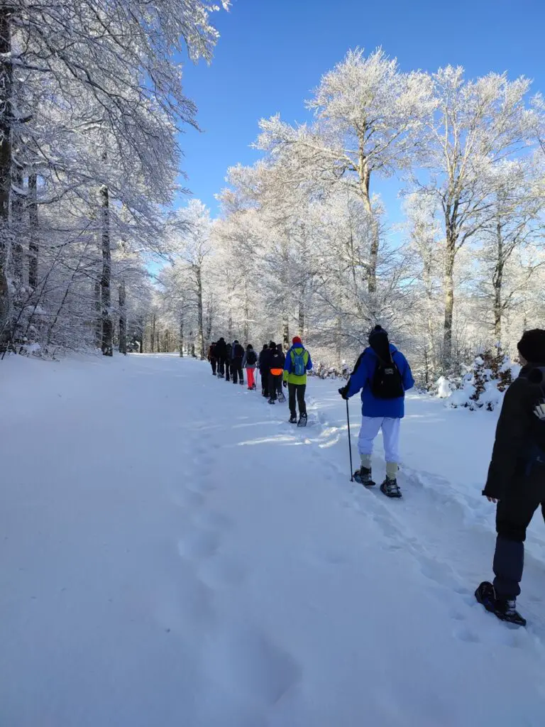 raquettes à neige au mont-aigoual au coeur des cevennes