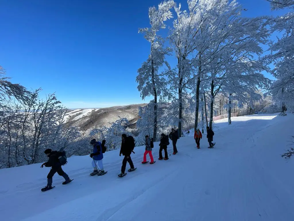 Raquettes à neige au Mont-aigoual avec séance de yoga dans la neige