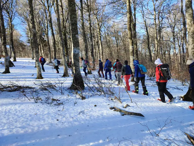 Raquettes à neige au Mont Aigoual