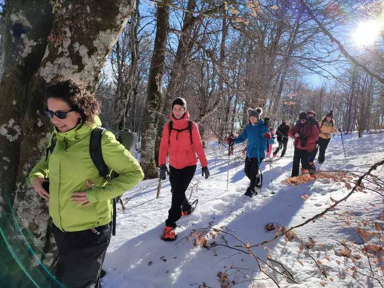 raquettes à neige dans les Cévennes au Mont aigoual