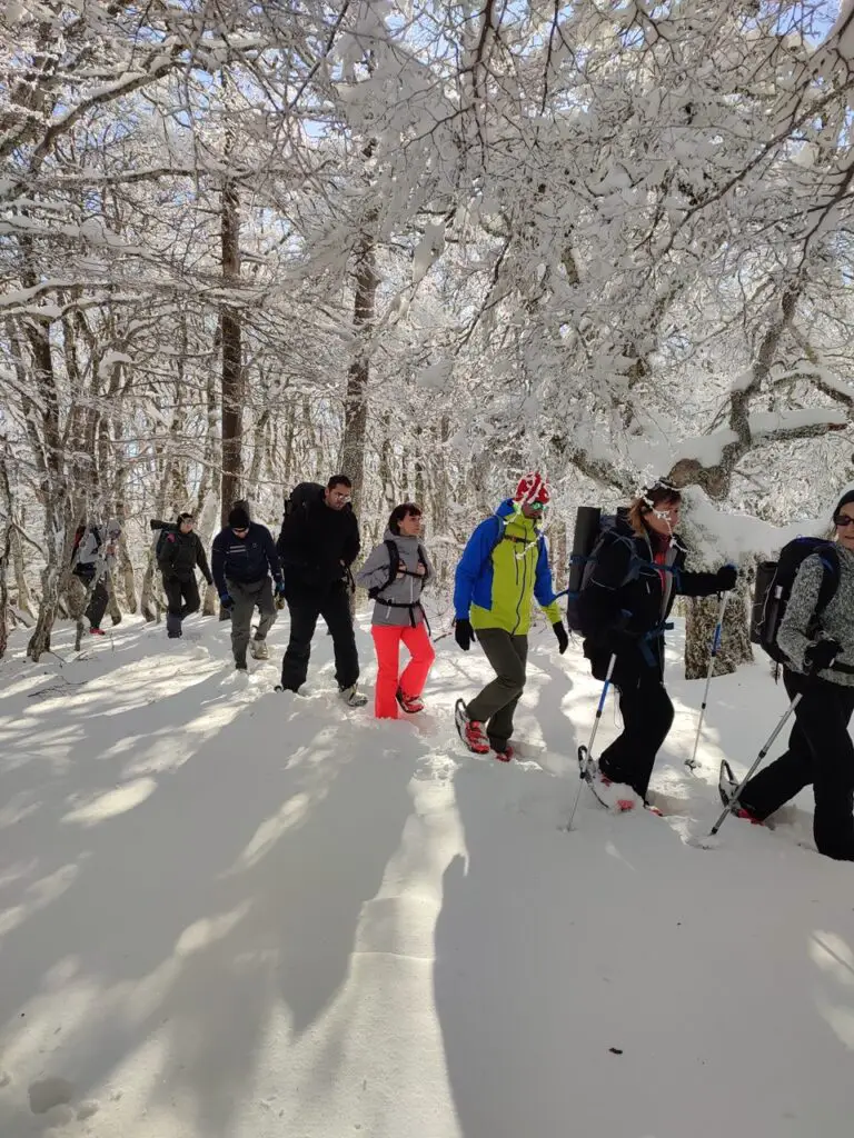 raquettes à neige dans les forets du mont aigoual