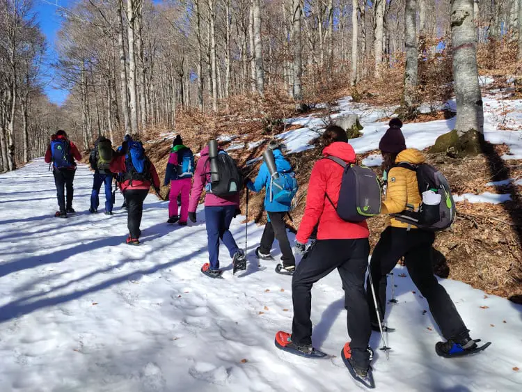 raquettes à neige & yoga dans les Cévennes au Mont Aigoual