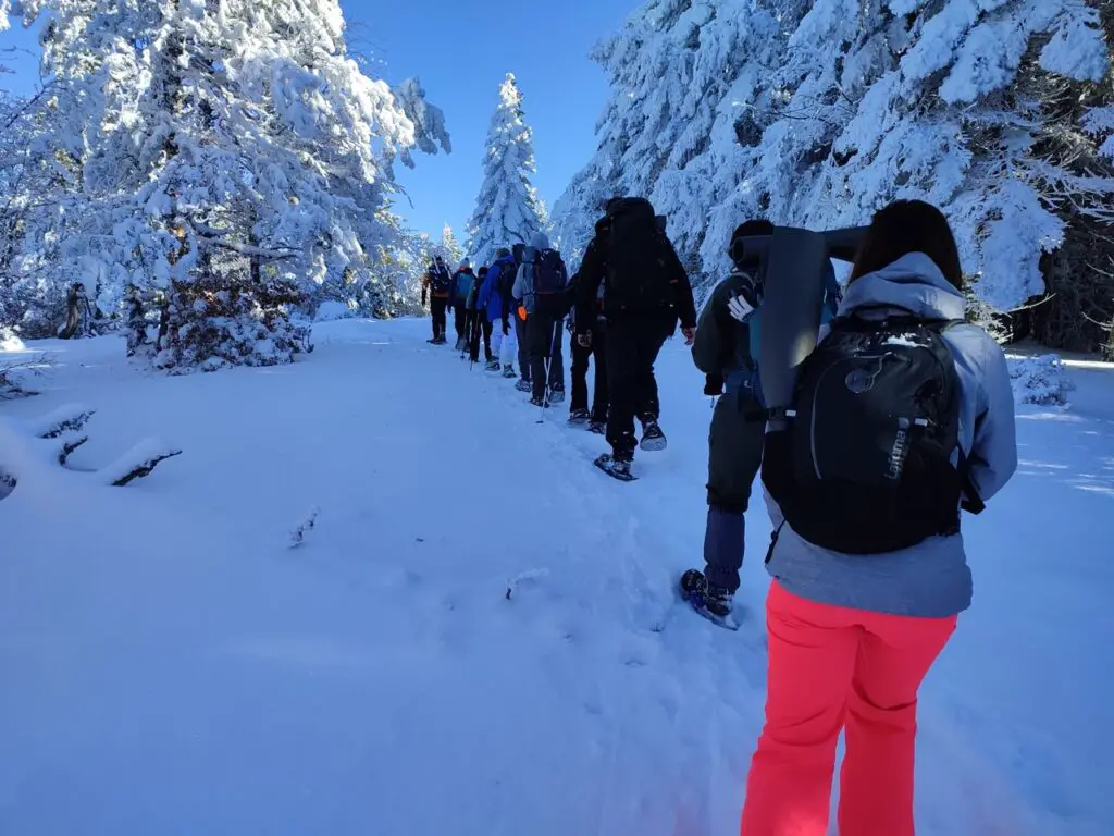 sortie raquettes à neige au mont aigoual