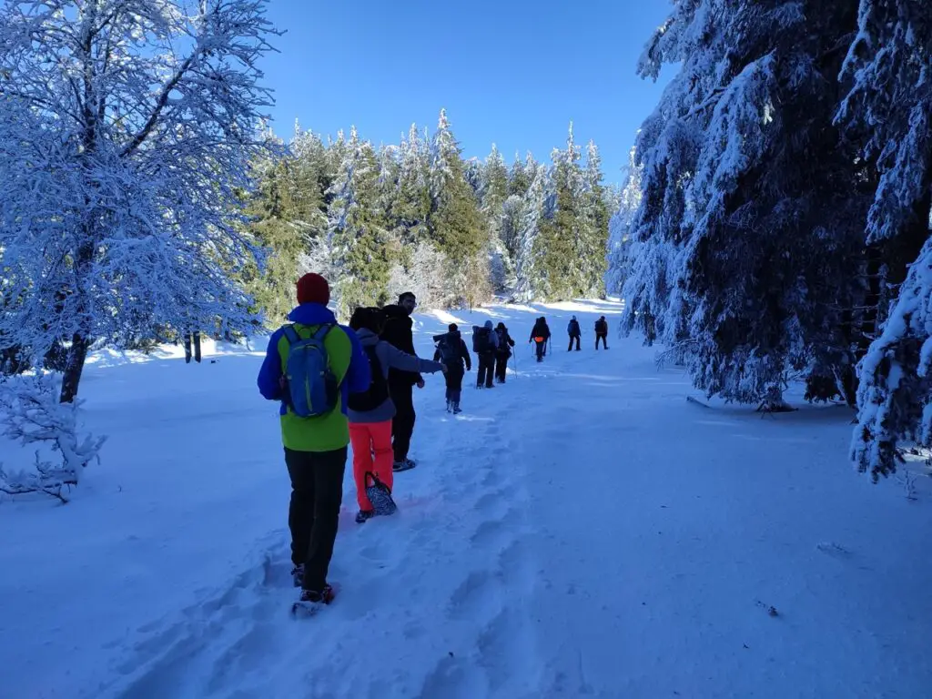 sortie raquettes à neige dans le parc des cevennes