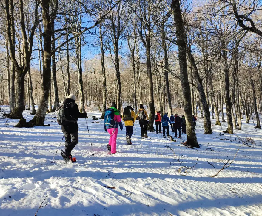 sortie raquettes à neige dans les Cévennes