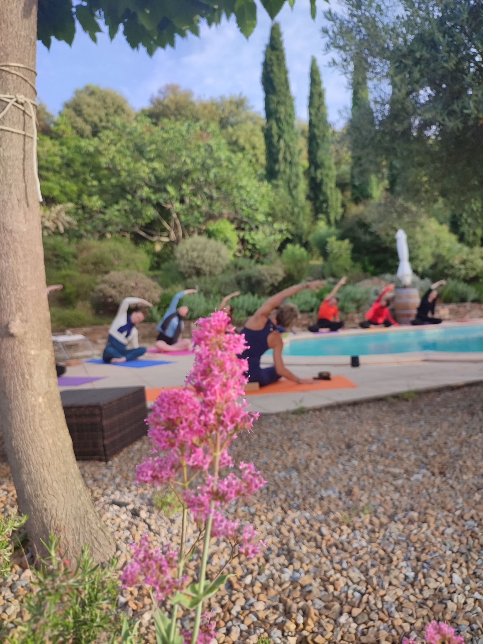 Yoga au bord de la piscine du magic hill retreat center dans le Caroux