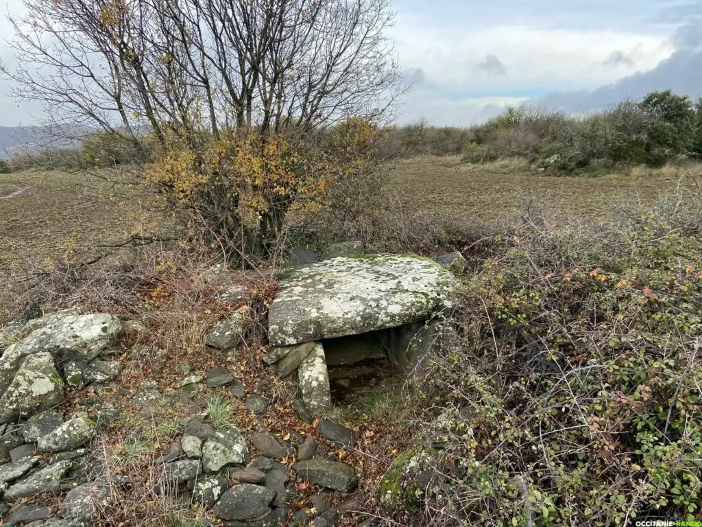 itanie-rando-randonnee-herault-octon-chapelle-notre-dame-de-roubignac-dolmen-toucou-chateau-lauzieres