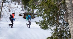 Où faire de la raquette à neige dans les Alpes