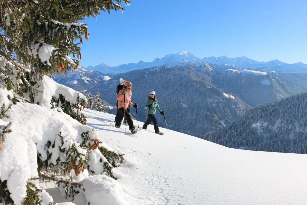 rando raquettes dans la Montagne de l’Esparcelet dans les Hautes-Alpes