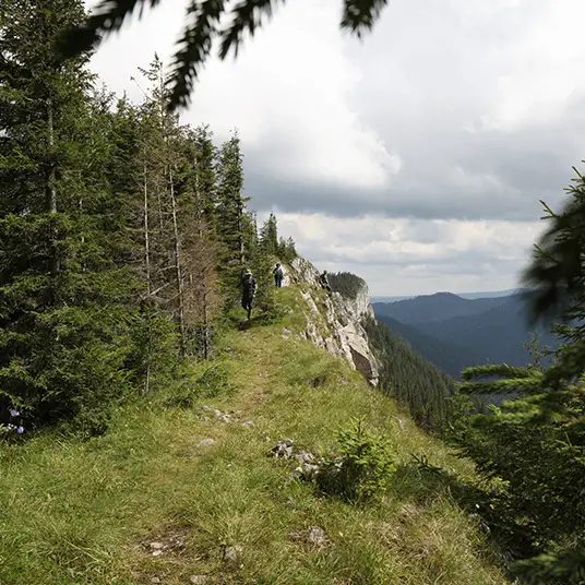 Randonner en Roumanie dans les montagnes des Carpates