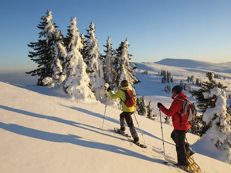 Raquette à neige dans le Jura