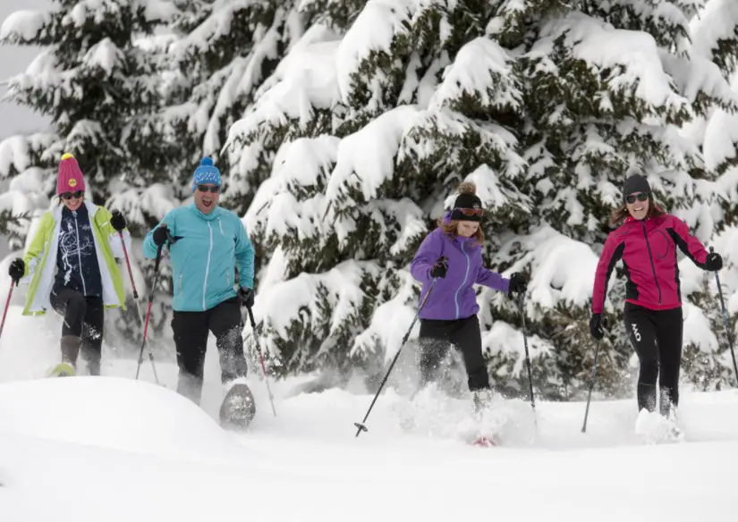 Raquettes à neige dans le Champsaur-Valgaudemar