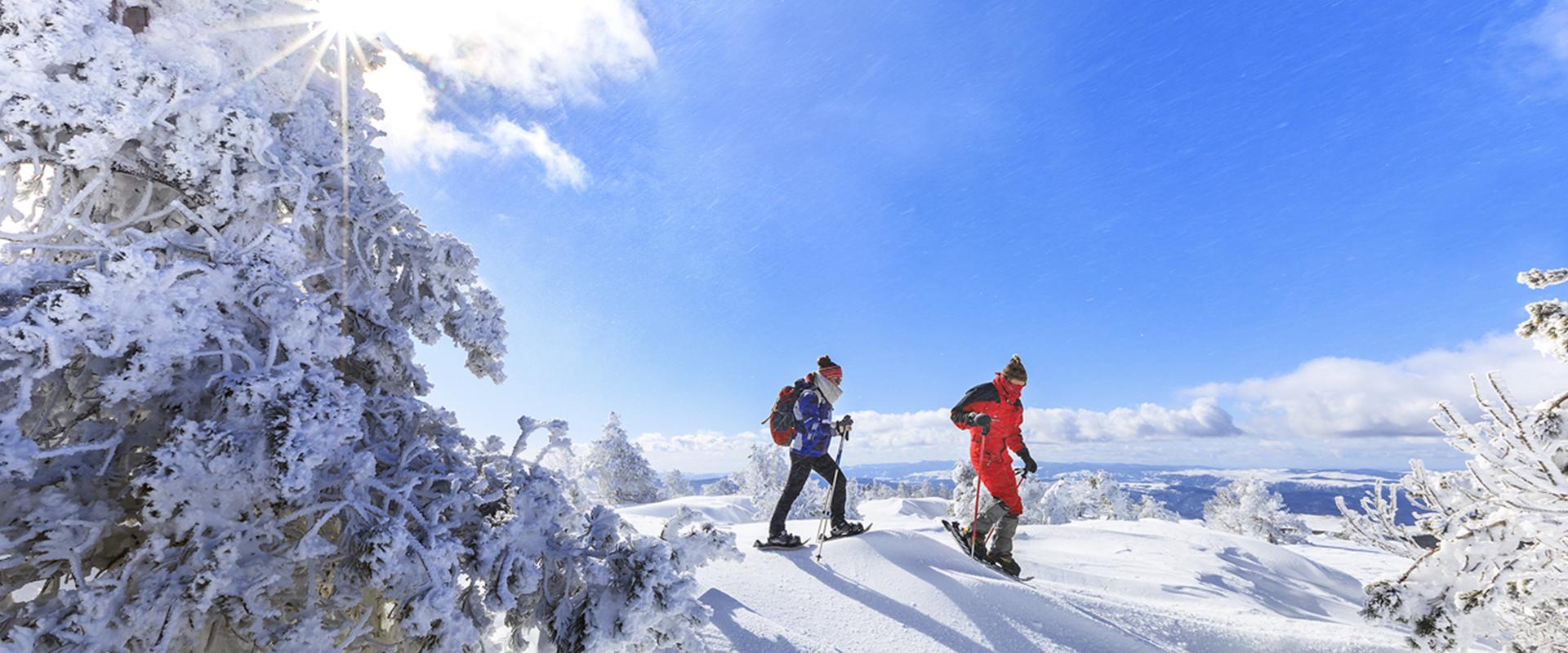 Raquette à neige INOOK Odalys Bleu ciel Unisexe