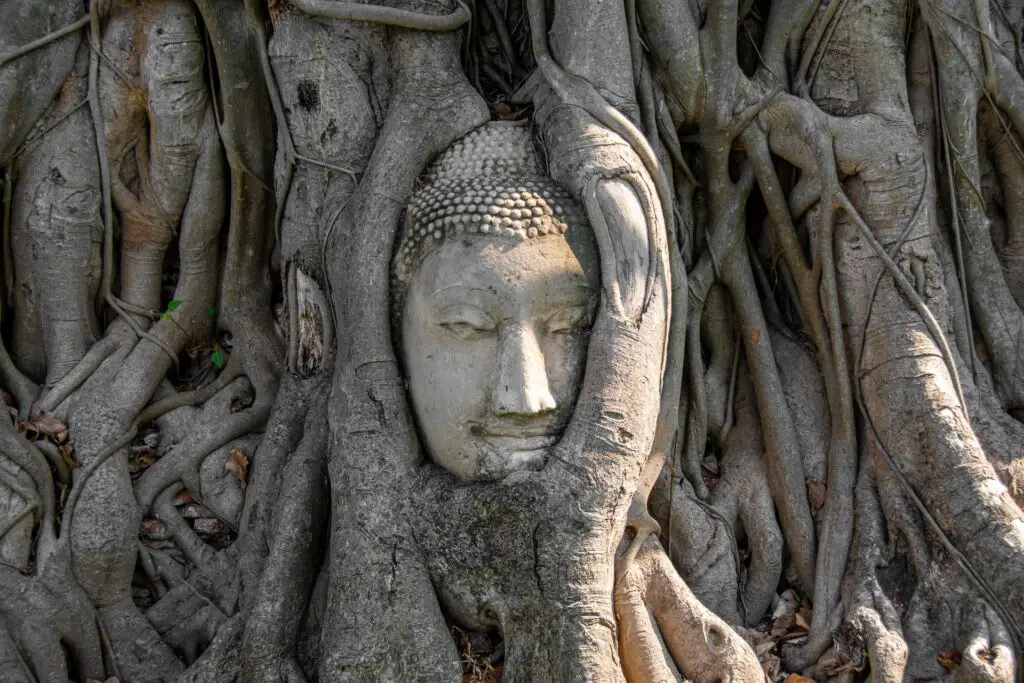 Les origines du Yoga