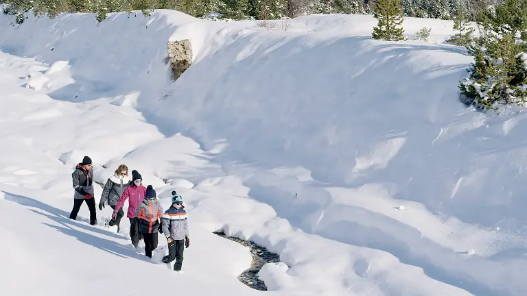 Sortie Raquettes à neige dans le Massif Central