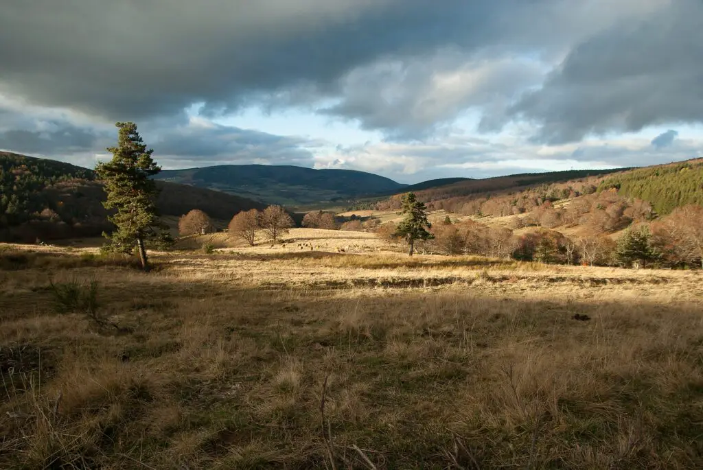 GR 70 le chemin de Stevenson