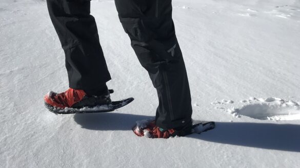 Test raquettes à neige EVVO sur l'Aigoual