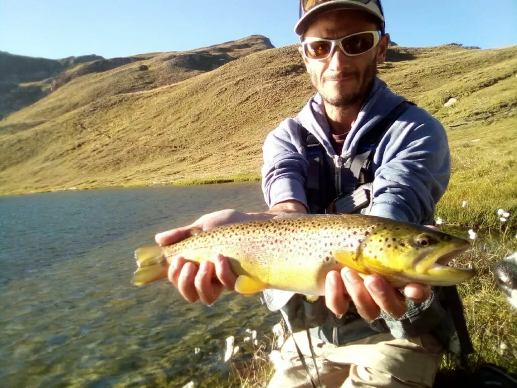 Pêche à la mouche dans les lacs de montagne des Hautes-Alpes