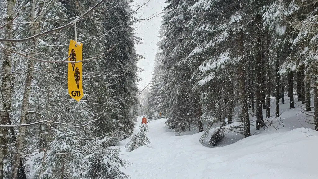 Sur les sentiers balisé de la GTJ dans le Jura