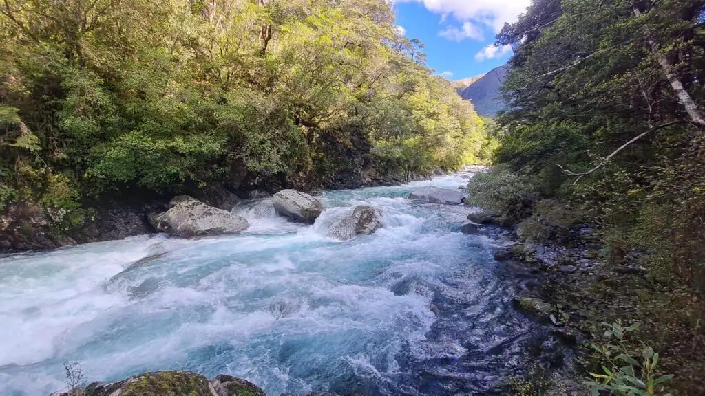 Sabine River - Nelson Lakes National Park