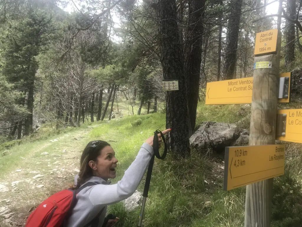 Abri Contrat à 1394 m avant l'ascension du Mont Ventoux