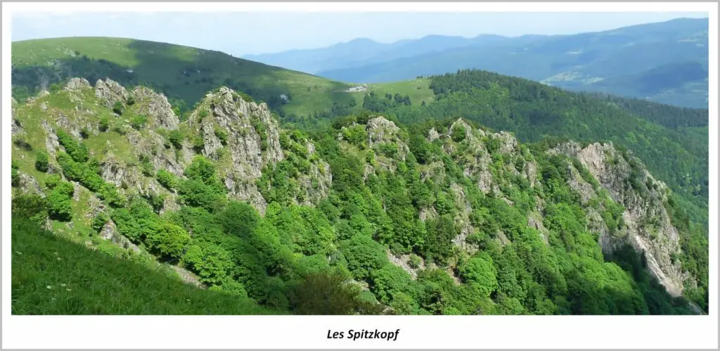 L'arête des Spitzkoepfe dans les Vosges