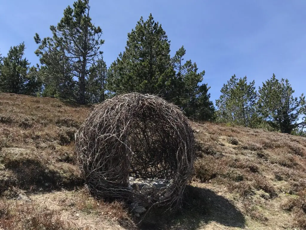 Art land au sommet du Mont aigoual dans les Cévennes